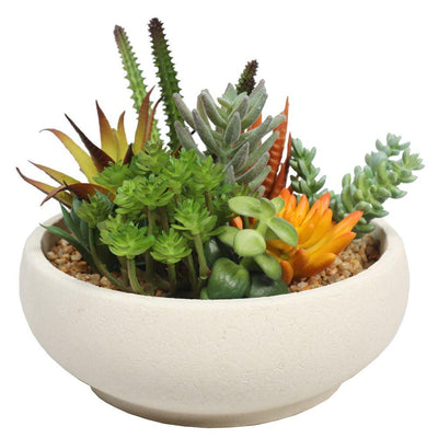 Potted Artificial Succulent Bowl with Natural Stone Pot 21cm Payday Deals