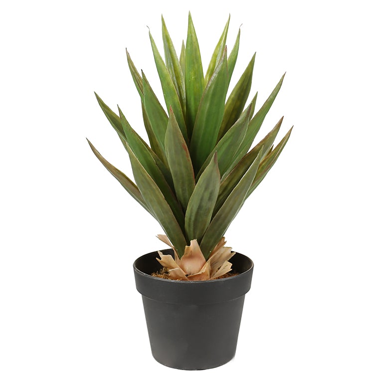 Artificial Dense Potted Aloe Vera Plant 50 cm - Payday Deals