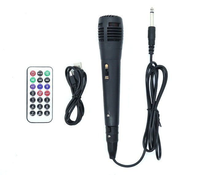 Precision Audio Dual 8" Portable Karaoke Bluetooth Party Speaker  AO8209 Payday Deals