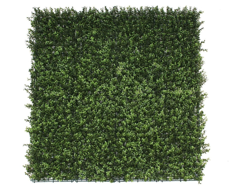 Premium Natural Buxus Hedge Panels UV Resistant 1m x 1m Payday Deals