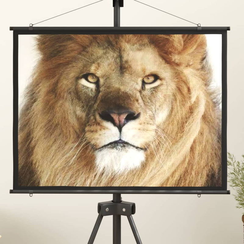 Projection Screen 127 cm 4:3 Payday Deals