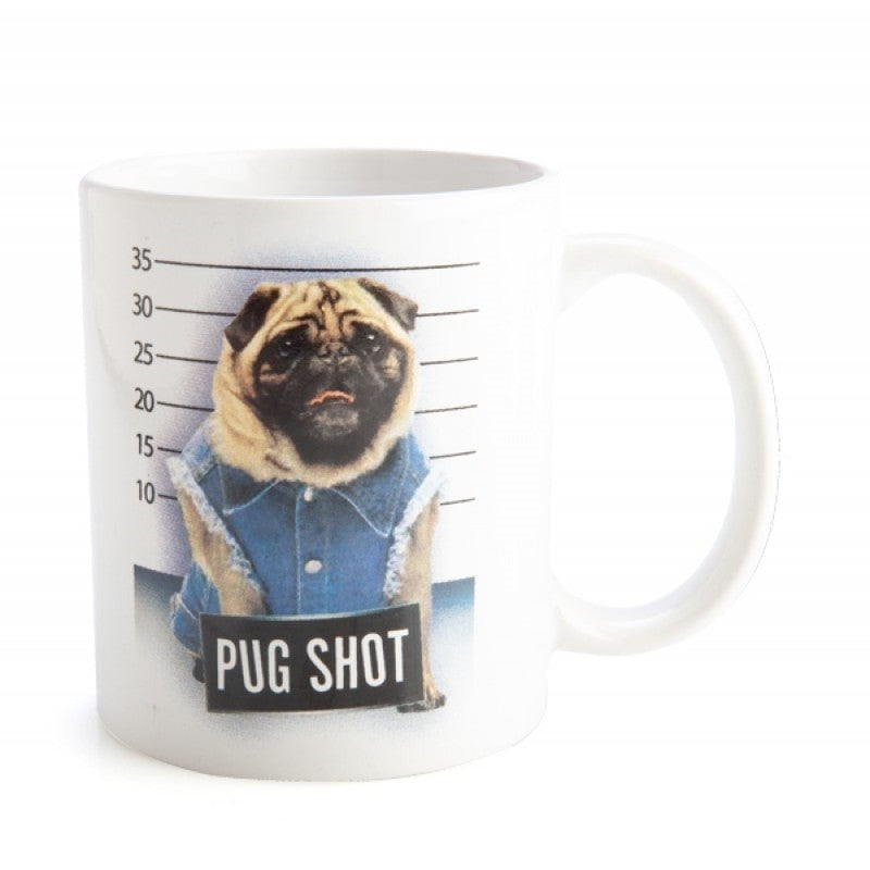 Pug Shot Mug Payday Deals