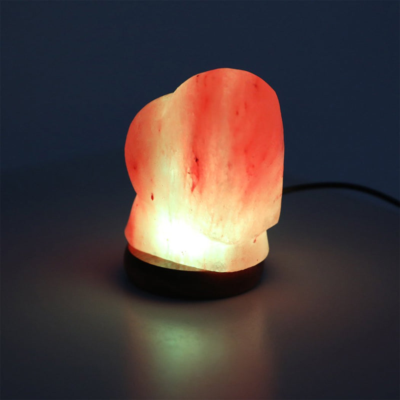 Salt Lamp Globe USB Himalayan Natural Crystal Rock Cord Night Light Lamps Globes Payday Deals