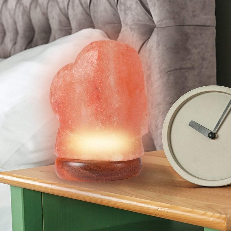 Salt Lamp Globe USB Himalayan Natural Crystal Rock Cord Night Light Lamps Globes Payday Deals