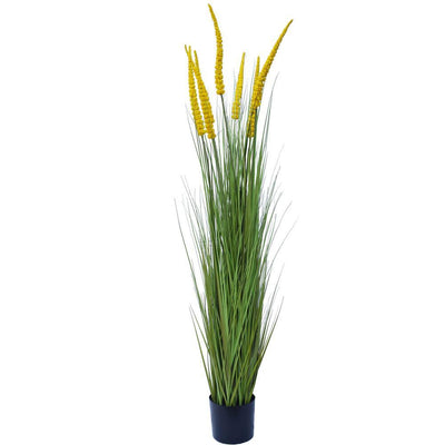 Spear Grass Plant 180cm