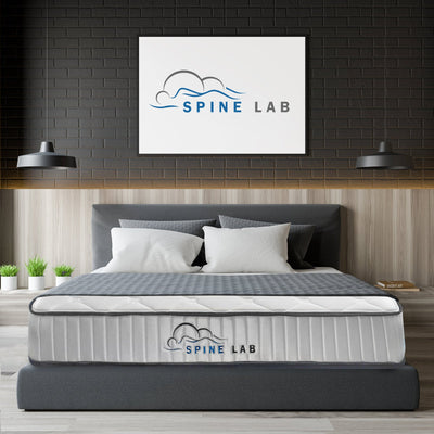 Spine-Lab Mattress 5 Zone 21cm Medium Firm Foam Bonnell Spring - Queen - White Payday Deals