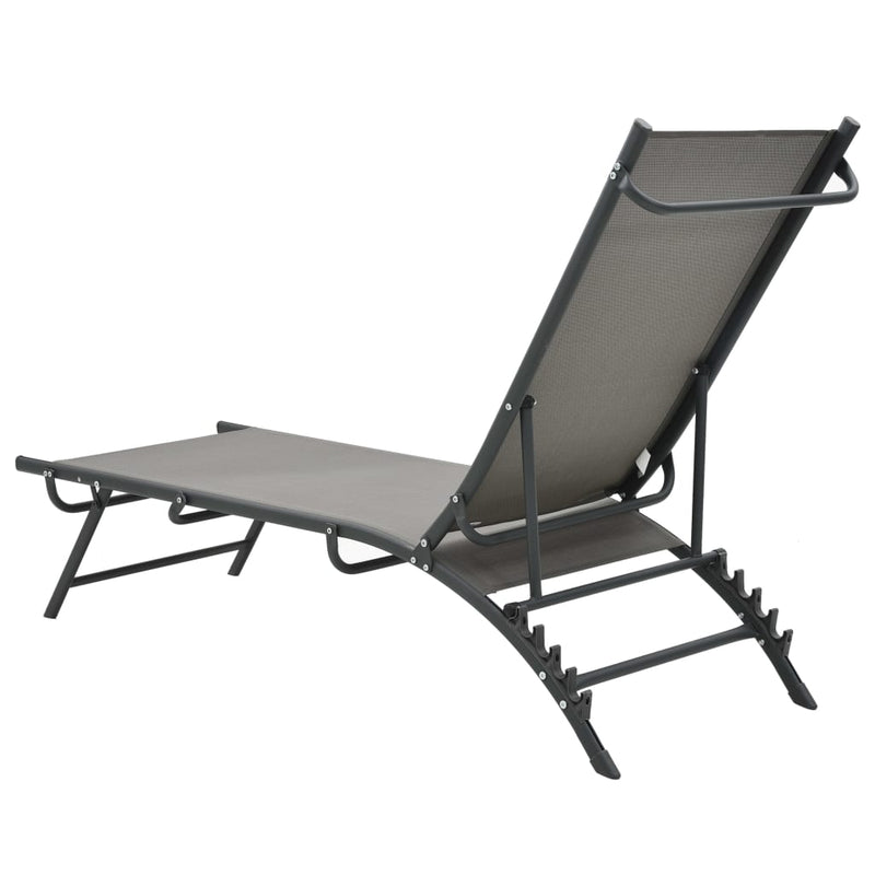 Sun Loungers 2 pcs Textilene and Steel Payday Deals