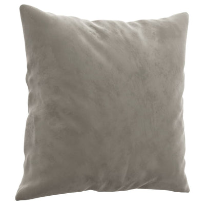 Throw Pillows 2 pcs Light Grey 40x40 cm Velvet Payday Deals