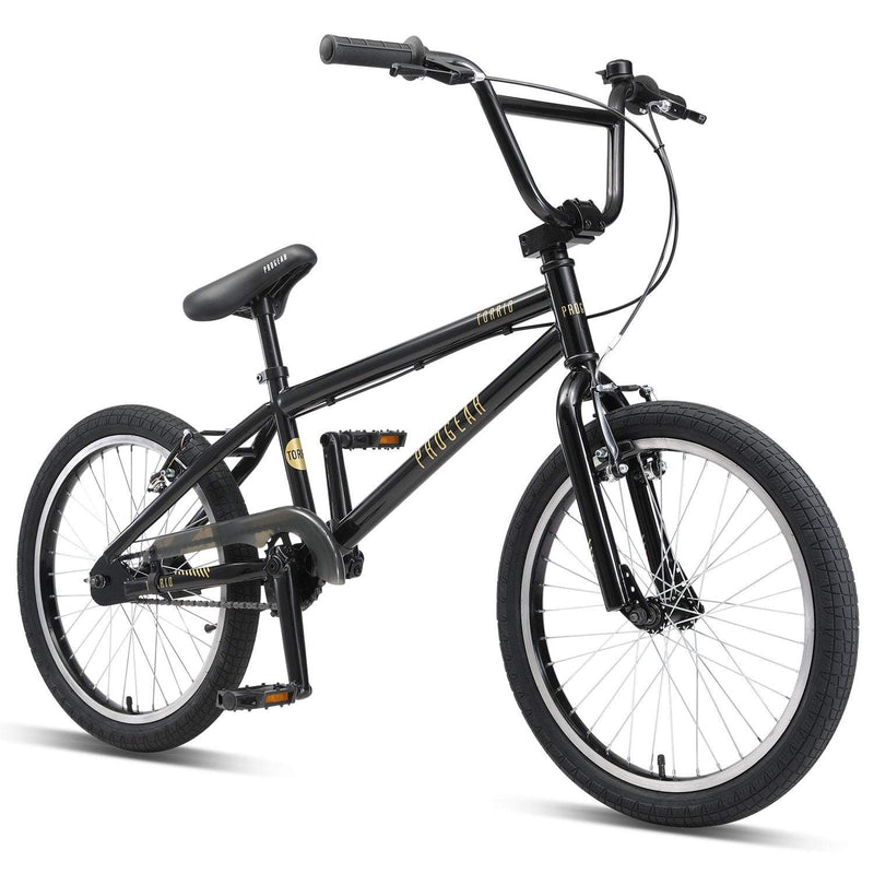 Torrid 20" BMX - Matt Black Payday Deals