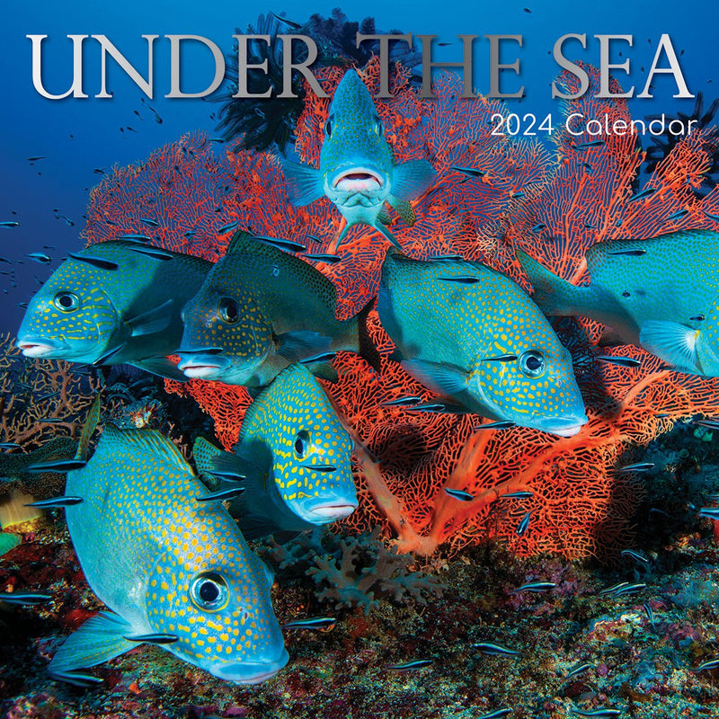 Under the Sea 2024 Square Wall Calendar 16 Month Planner Christmas New Year Gift Payday Deals