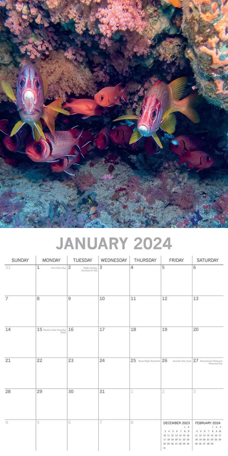 Under the Sea 2024 Square Wall Calendar 16 Month Planner Christmas New Year Gift Payday Deals