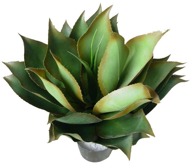 UV Resistant Agave Plant 60cm