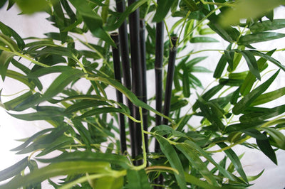 UV Stabilized Artificial Japanese Bamboo On A Black Trunk 1.8m