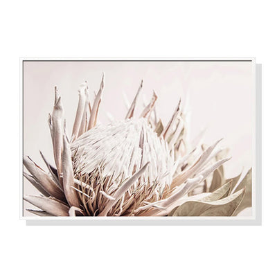 Wall Art 100cmx150cm Pure Protea II White Frame Canvas Payday Deals