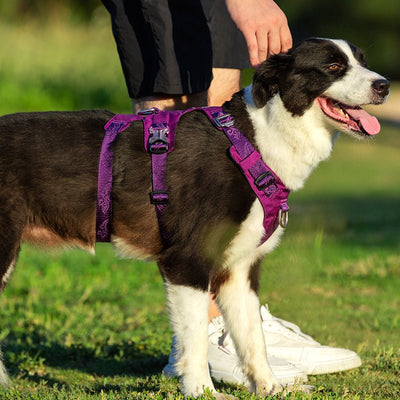 Whinhyepet Harness Purple L Payday Deals