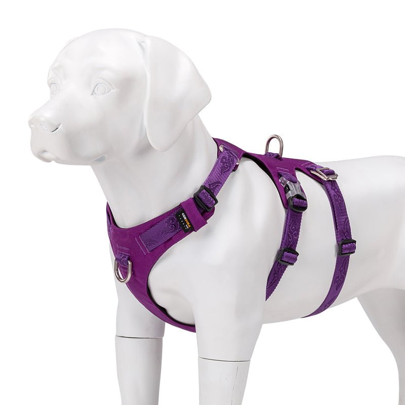 Whinhyepet Harness Purple XS Payday Deals