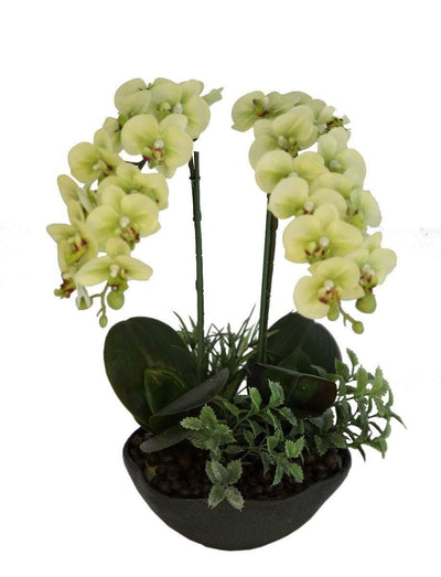 White Phalaenopsis Orchid Floral Arrangement And Pot 45cm Real Touch