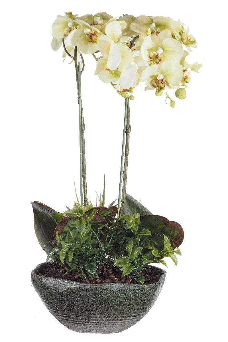 White Phalaenopsis Orchid Floral Arrangement And Pot 45cm Real Touch