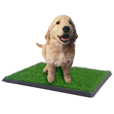 XL Indoor Dog Puppy Toilet Grass Training Mat Loo Pad Potty W 3 Grass Payday Deals