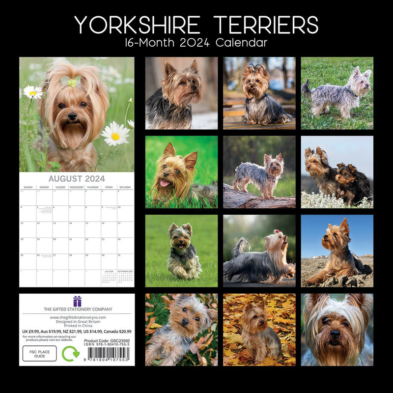 Yorkshire Terriers - 2024 Square Wall Calendar Pets Dog 16 Month Premium Planner Payday Deals